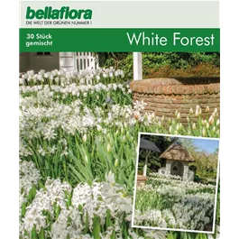 Blumenzwiebel Mischung Cottage Garden 'White Forest'