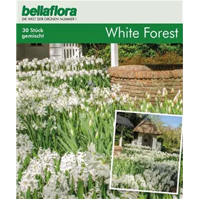 Blumenzwiebel Mischung Cottage Garden 'White Forest'