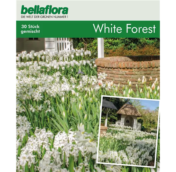 Blumenzwiebel Mischung Cottage Garden 'White Forest'