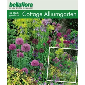 Cottage Garden Allium Collection