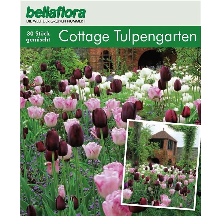 Cottage Garden Tulpen Collection