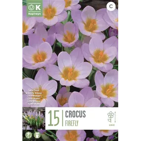 Crocus sieberi Firefly