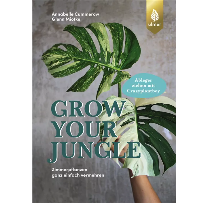 Grow your Jungle