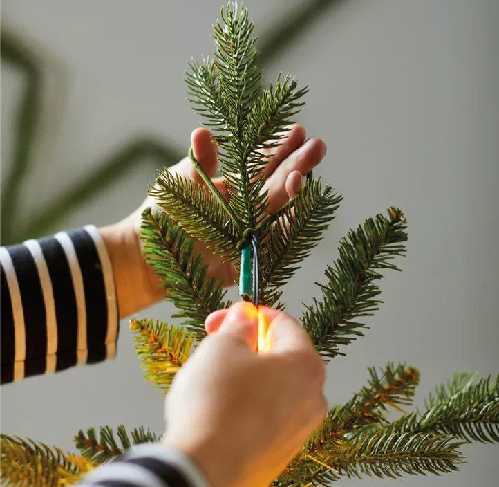 Micro-LED Lichtbündel Baumbeleuchtung