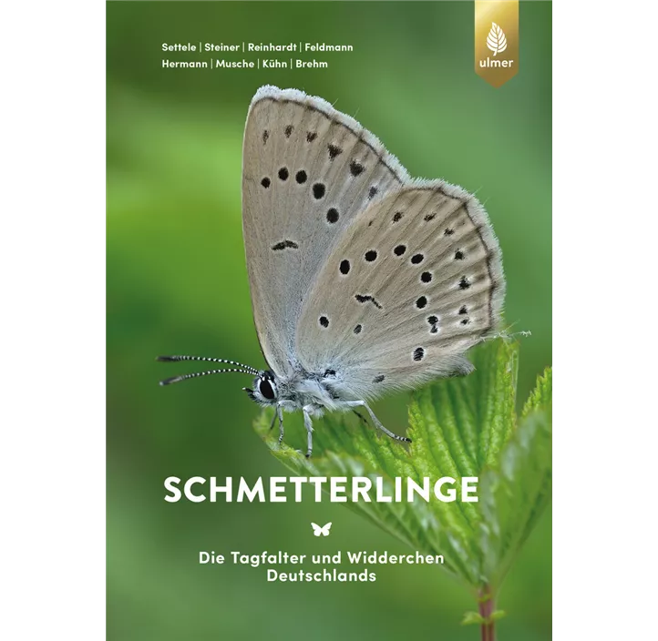 Schmetterlinge