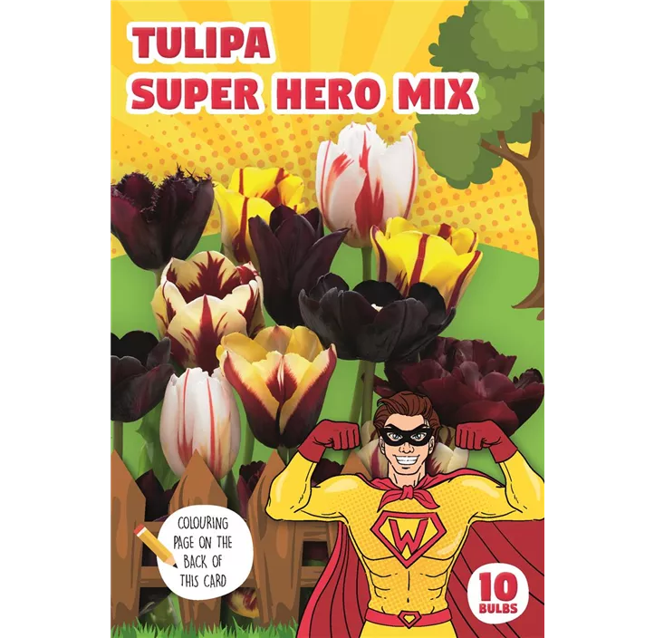 Tulipa mit Ausmalbild Super Hero