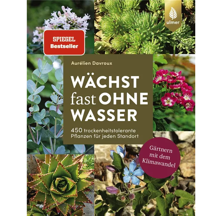 Wächst fast ohne Wasser