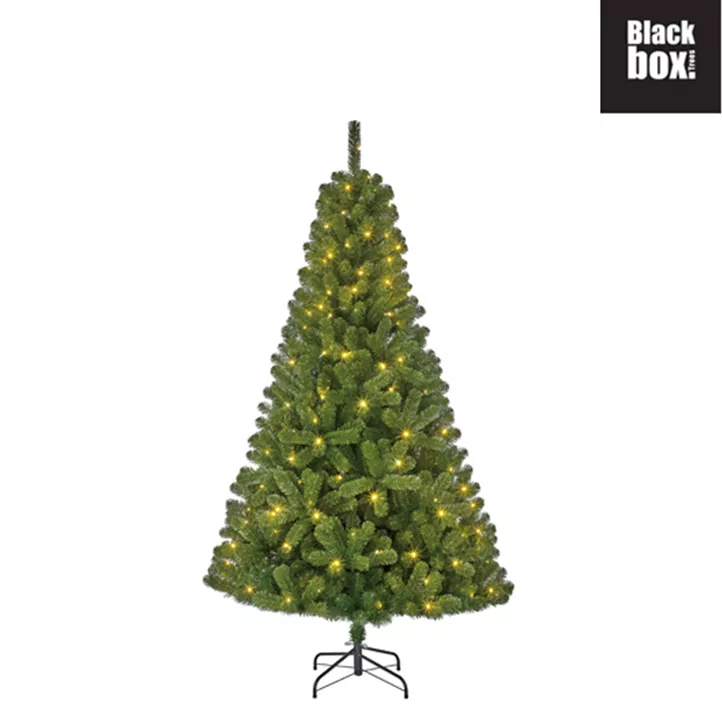 Weihnachtsbaum Charlton, 140 LEDs