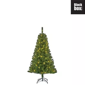 Weihnachtsbaum Charlton, 80 LEDs