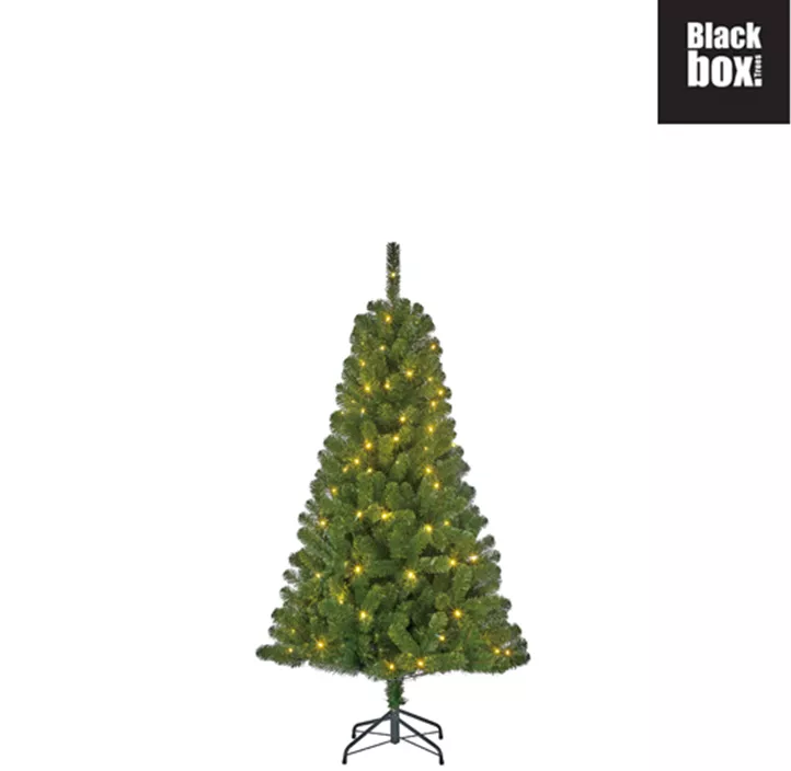 Weihnachtsbaum Charlton, 80 LEDs