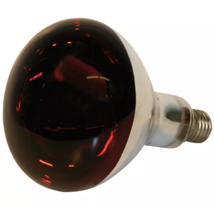 Infrarotlampe 150W Hartglas