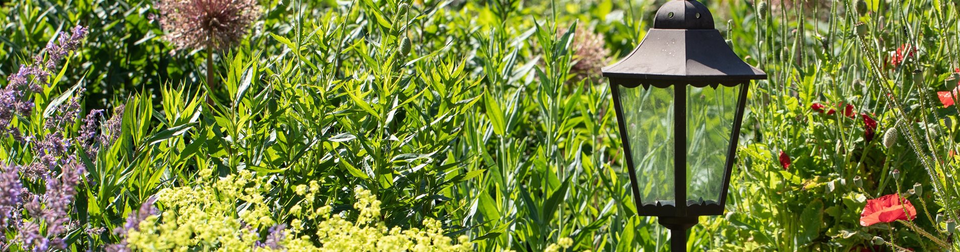 Gartenbeleuchtung im Staudenbeet Gartenbeleuchtung im Staudenbeet