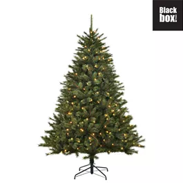 Weihnachtsbaum Toronto Deluxe, 1562 LEDs 