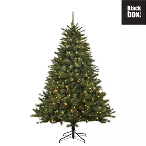 Weihnachtsbaum Toronto Deluxe, 1562 LEDs 