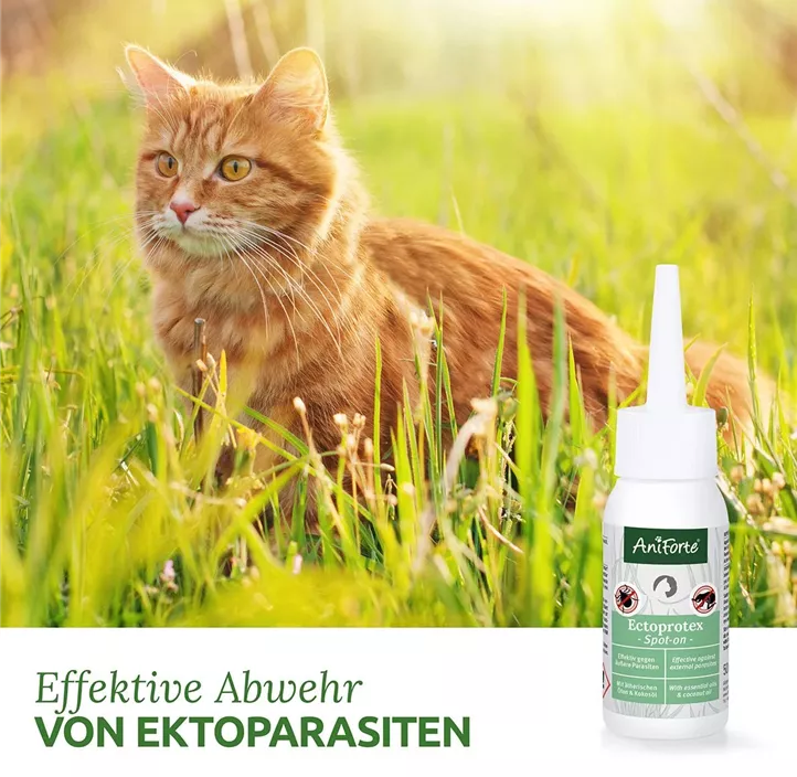 AniForte® Ectoprotex Spot-on für Katzen