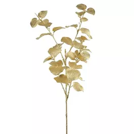 Eukalyptus gold