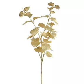 Eukalyptus gold