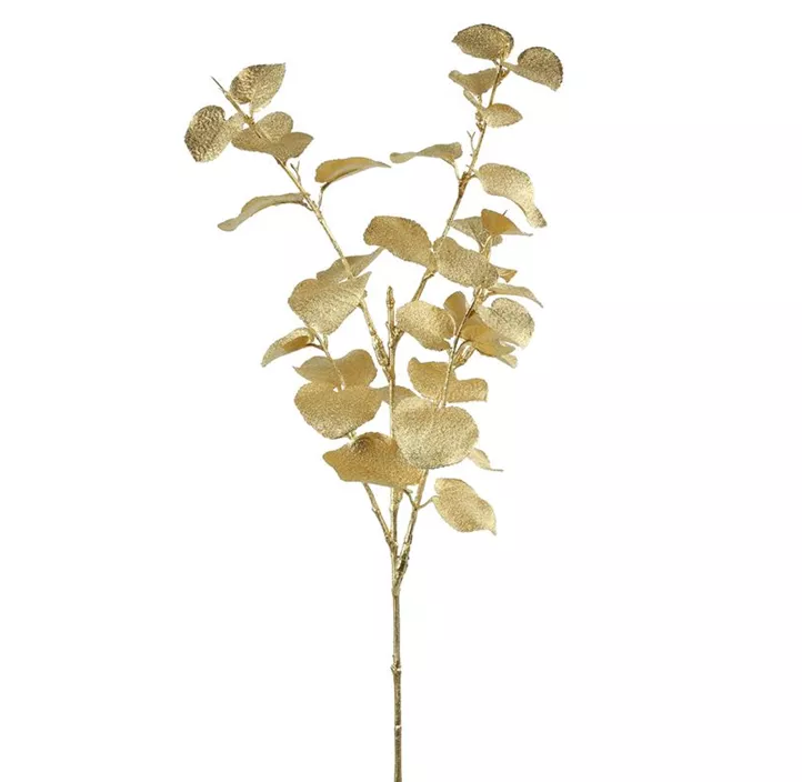 Eukalyptus gold