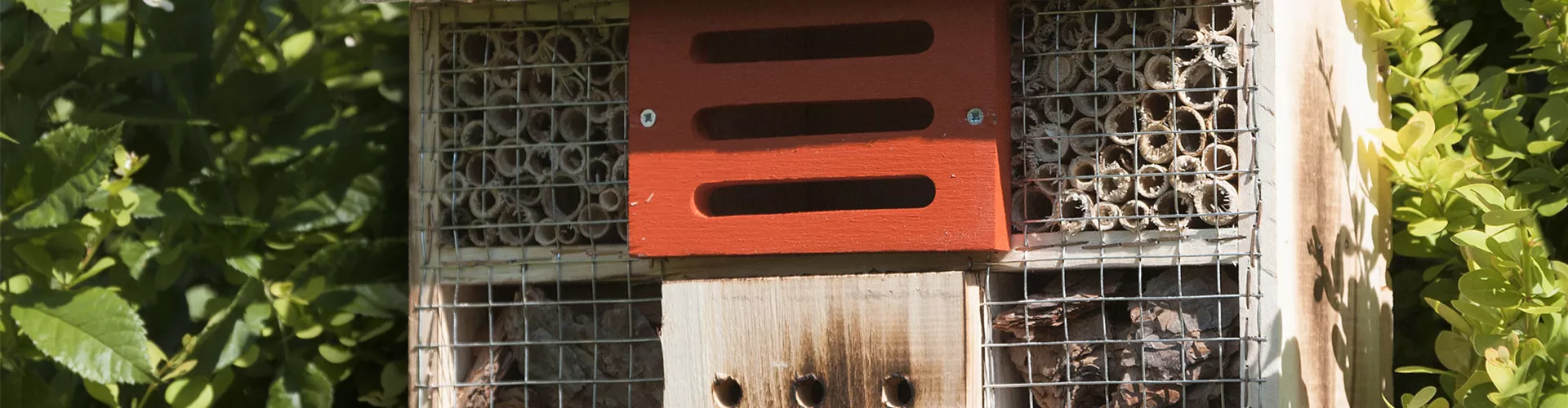 Insektenhotel selbst bauen - Bellaflora