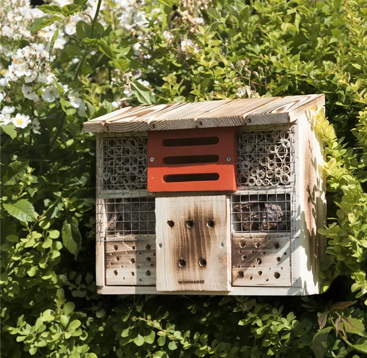 Insektenhotel Zur Linde