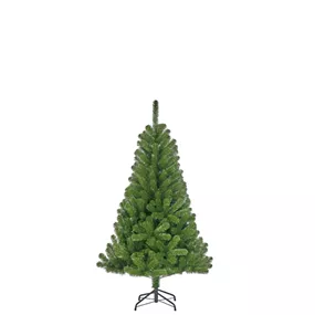 Weihnachtsbaum Charlton, 805 LEDs