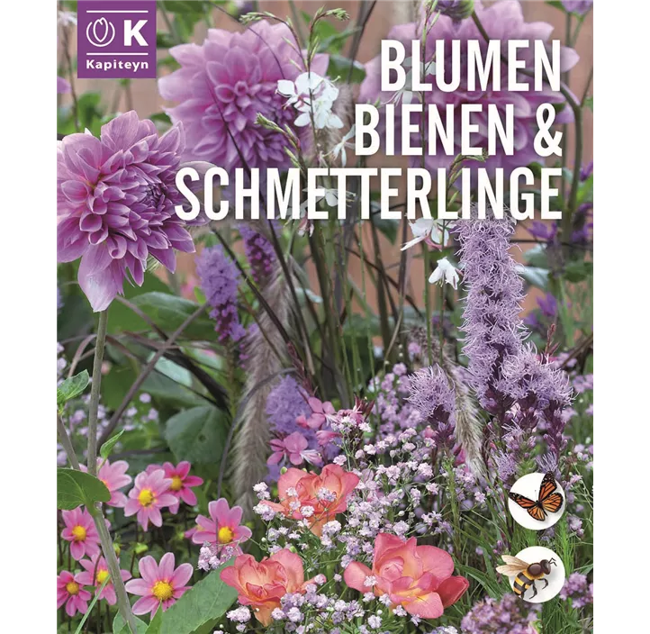 Blumen, Bienen & Schmetterlings-Farbmix (Sommer)