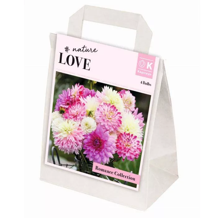 Dahlia Mischung Bouquet Romance