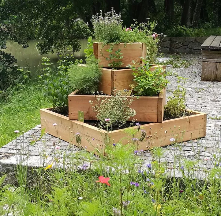 Kräuterbeet Kartoffenpyramide Lärche