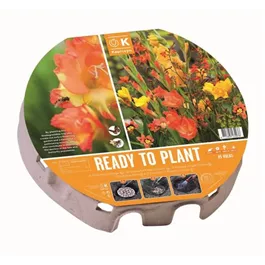 Plant-O-Mat Tray XL Wild Blooms