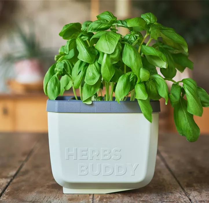 HERBS BUDDY Kräutertopf mit Kippfunktion