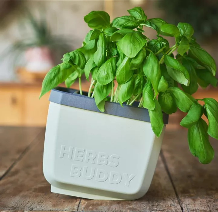 HERBS BUDDY Kräutertopf mit Kippfunktion