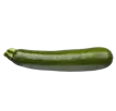 Zucchini