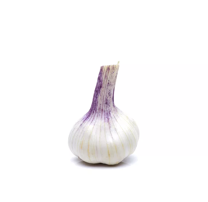 Echter Knoblauch