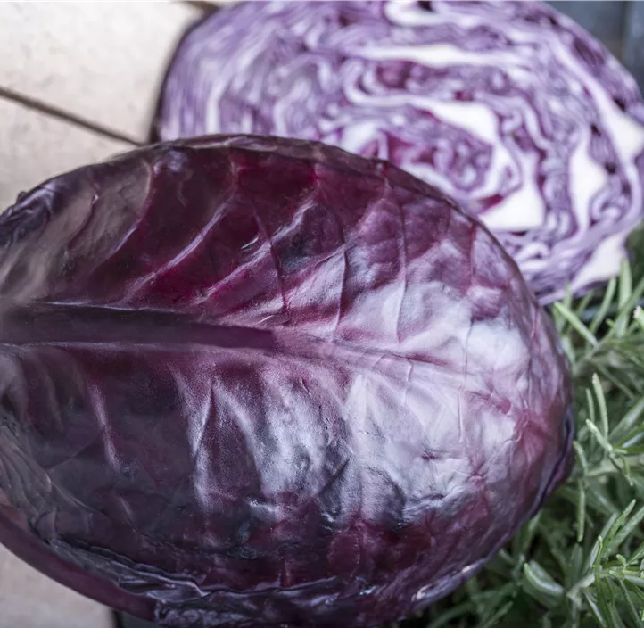 Rotkohl