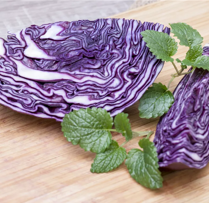 Rotkohl