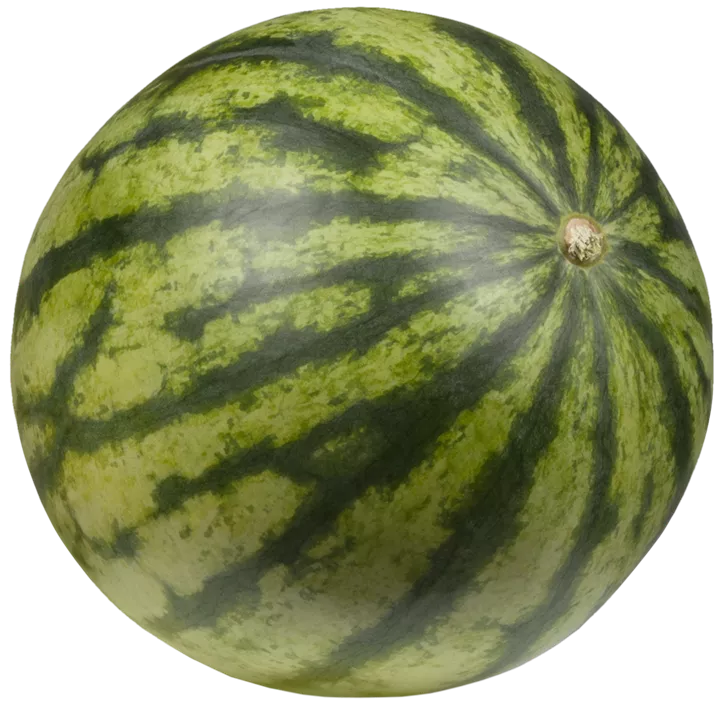 Wassermelone