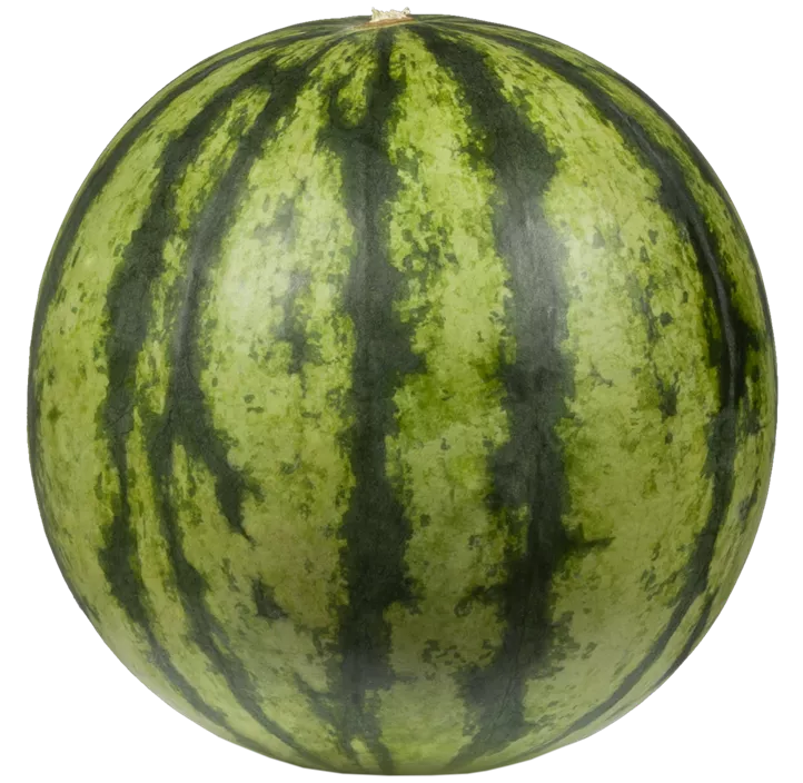 Wassermelone