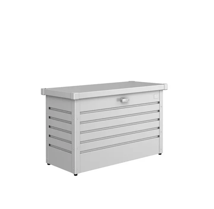 FreizeitBox 100 silber