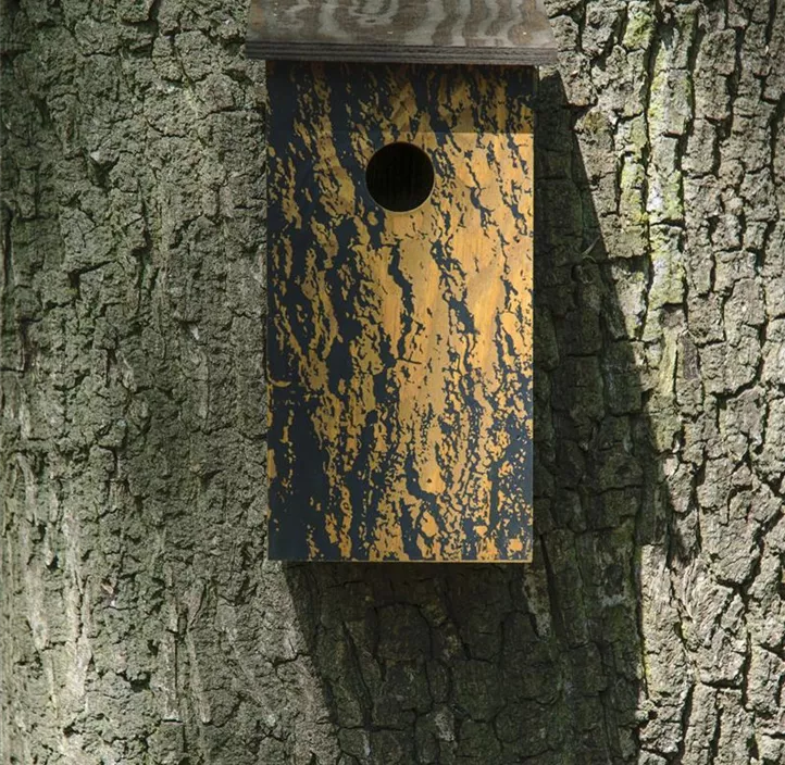 Nistkasten Teutoburger Wald