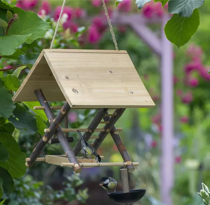 Wildvogel-Spielplatz