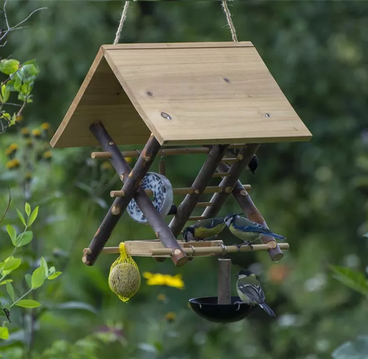 Wildvogel-Spielplatz