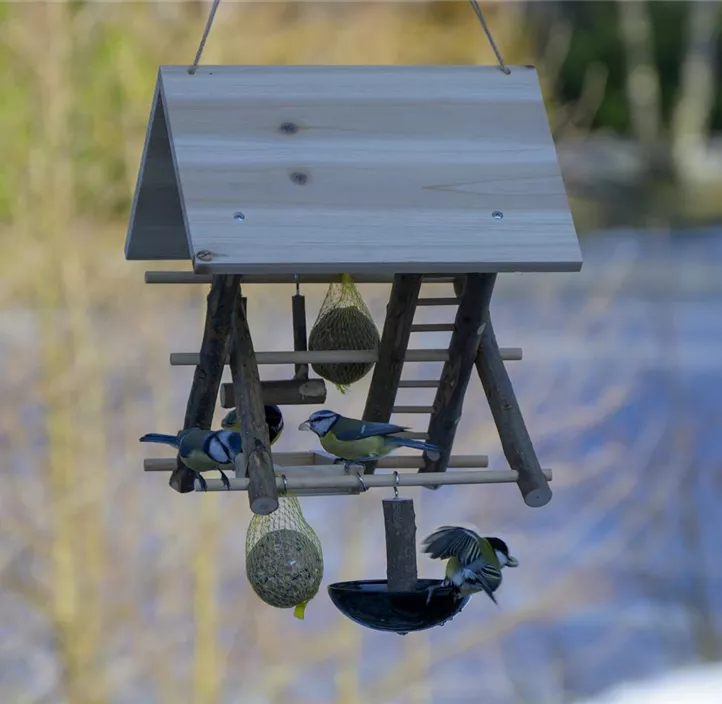 Wildvogel-Spielplatz