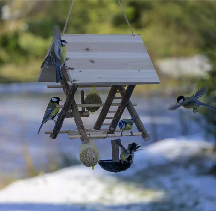 Wildvogel-Spielplatz