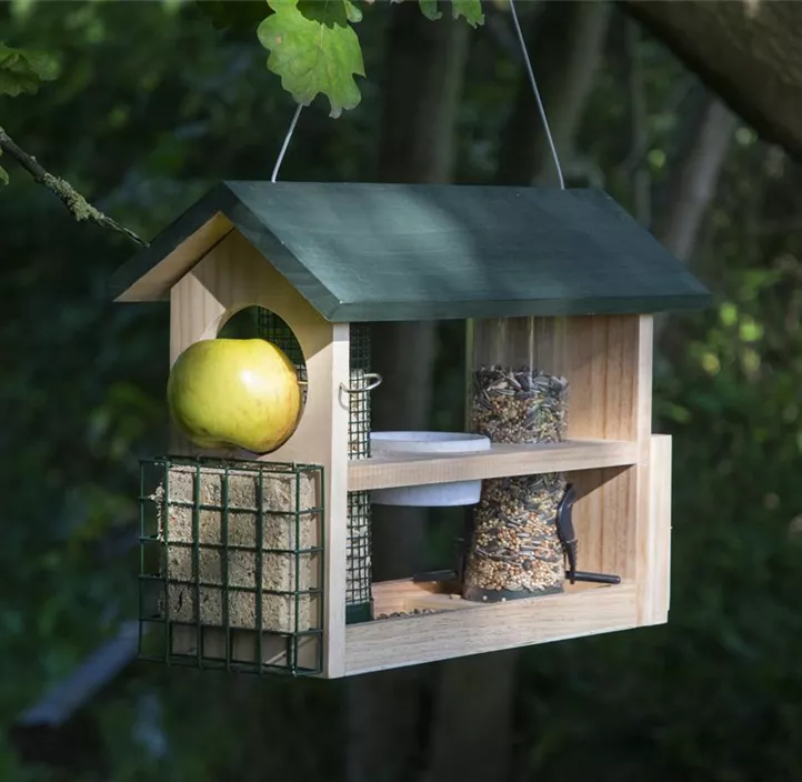 Vogelfutterspender mit 7 Fächern