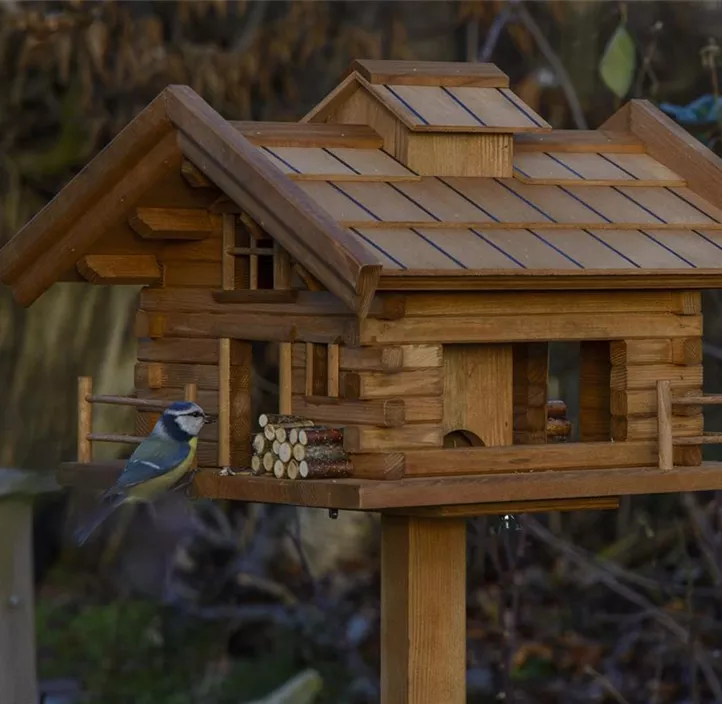 Vogelhaus Almhütte inkl. Ständer