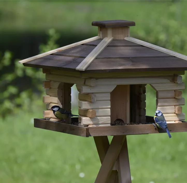 Vogelhaus im Blockhausdesign