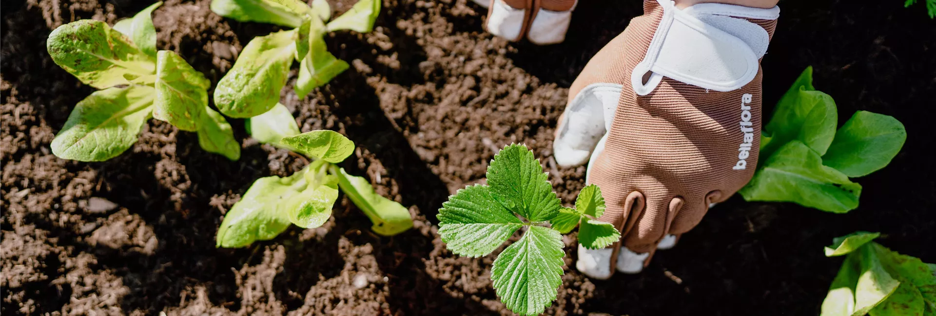 Die Garten-Saison startet!