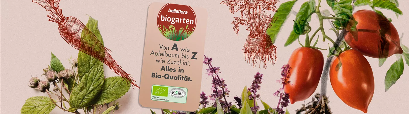 biogarten.jpg