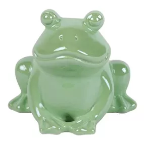 Frosch Aurora