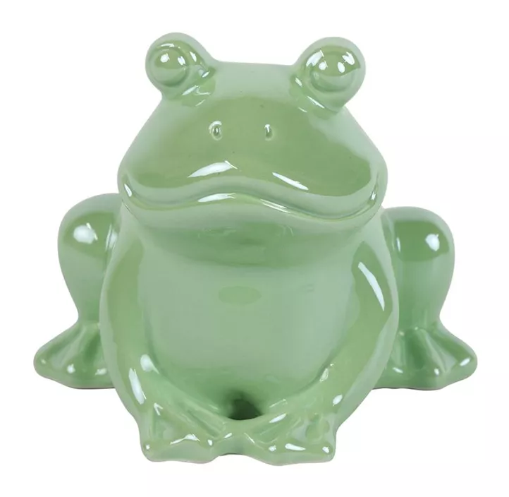 Frosch Aurora (Shop)